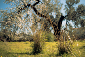 Vidange fosse septique Grasse